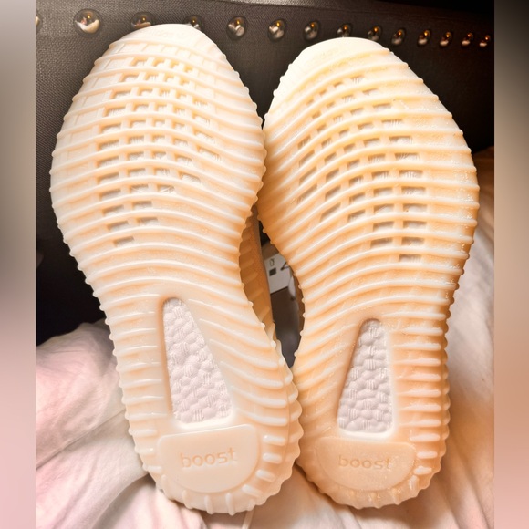 Brand new in box yeezy boost 350 v2 Bone - Picture 4 of 4